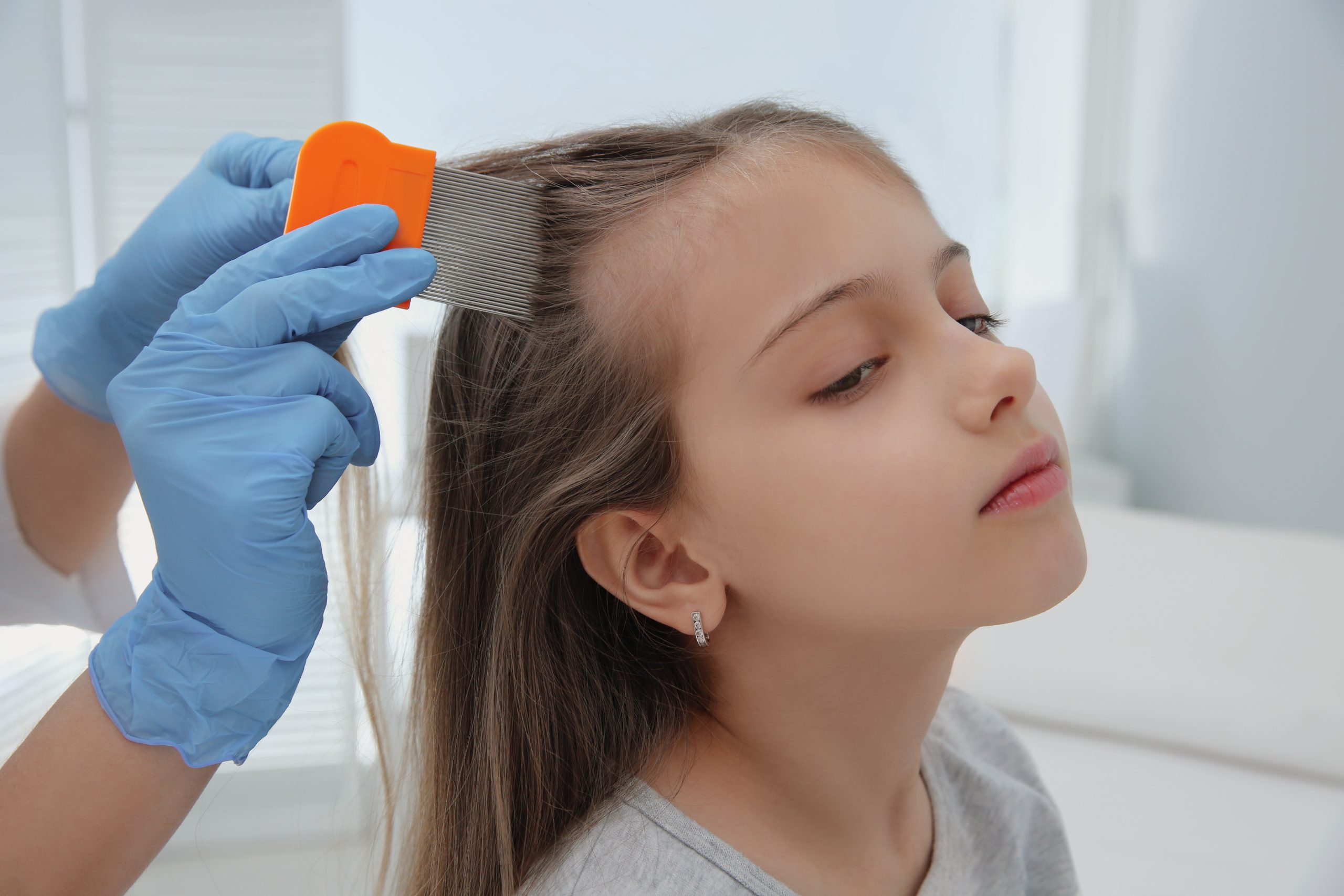 Fine-tooth lice comb used during professional lice treatment