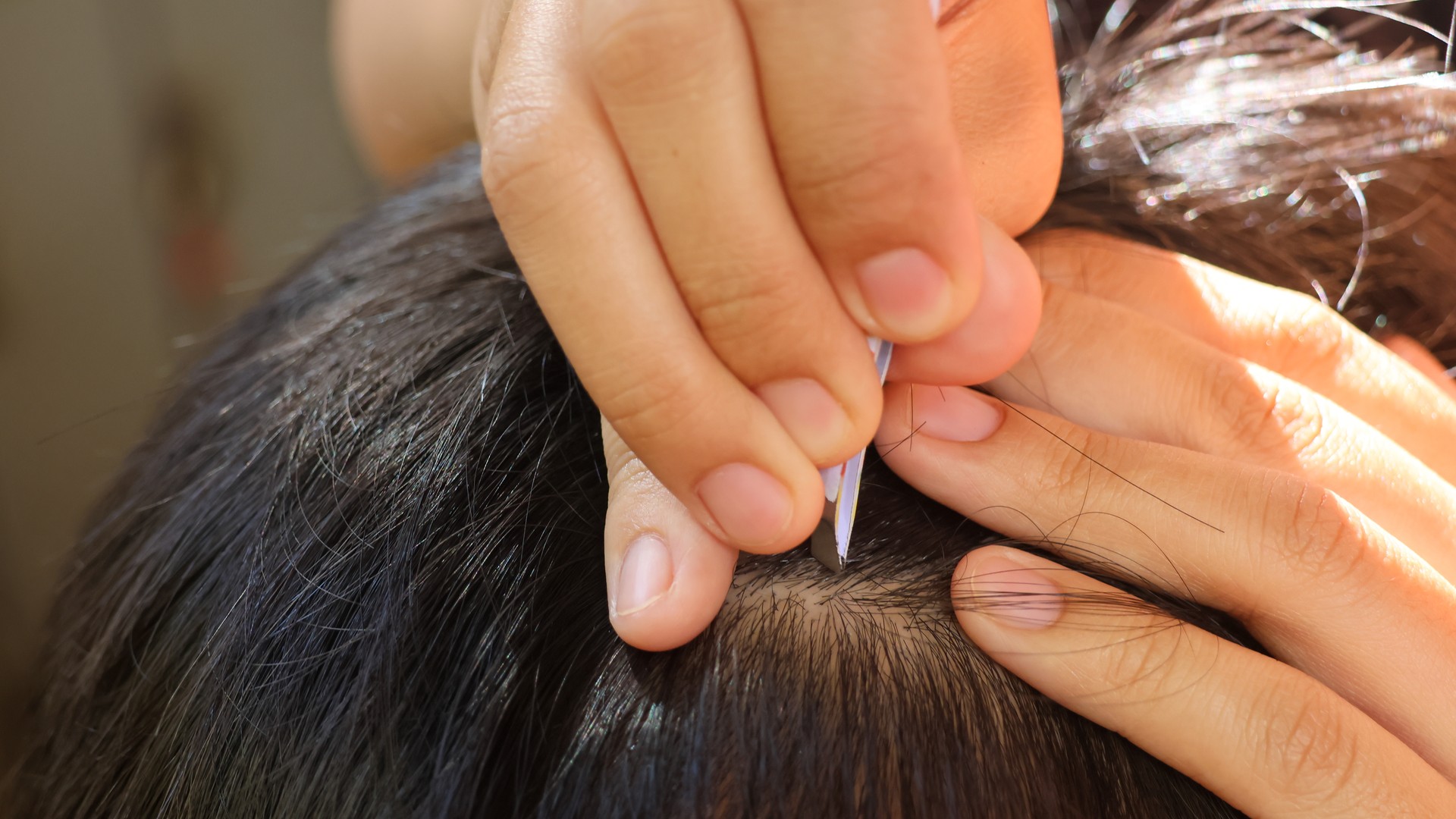 A close-up of a parent's hand using small tweezers to lift a single head louse from a child's dark hair, the exact identification moment after spotting a speck during a nit check.