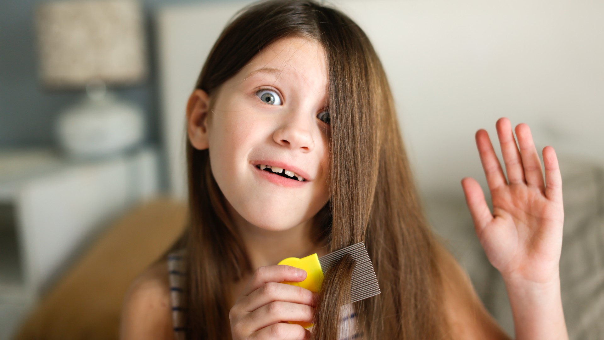 If One Person Has Lice, Who Else Needs Treatment?