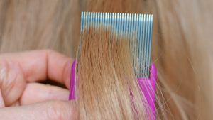 A parent runs a fine-tooth comb through a child's damp hair near the neck to check for lice after summer camp