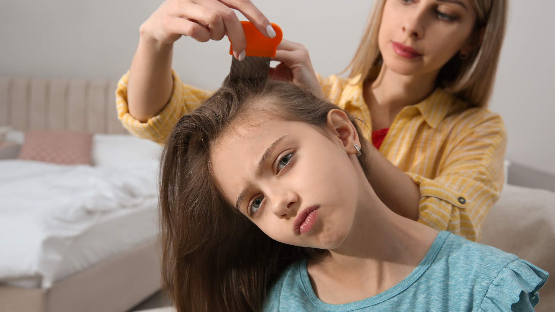 Beating Lice Once Doesn’t Make Your Child Immune