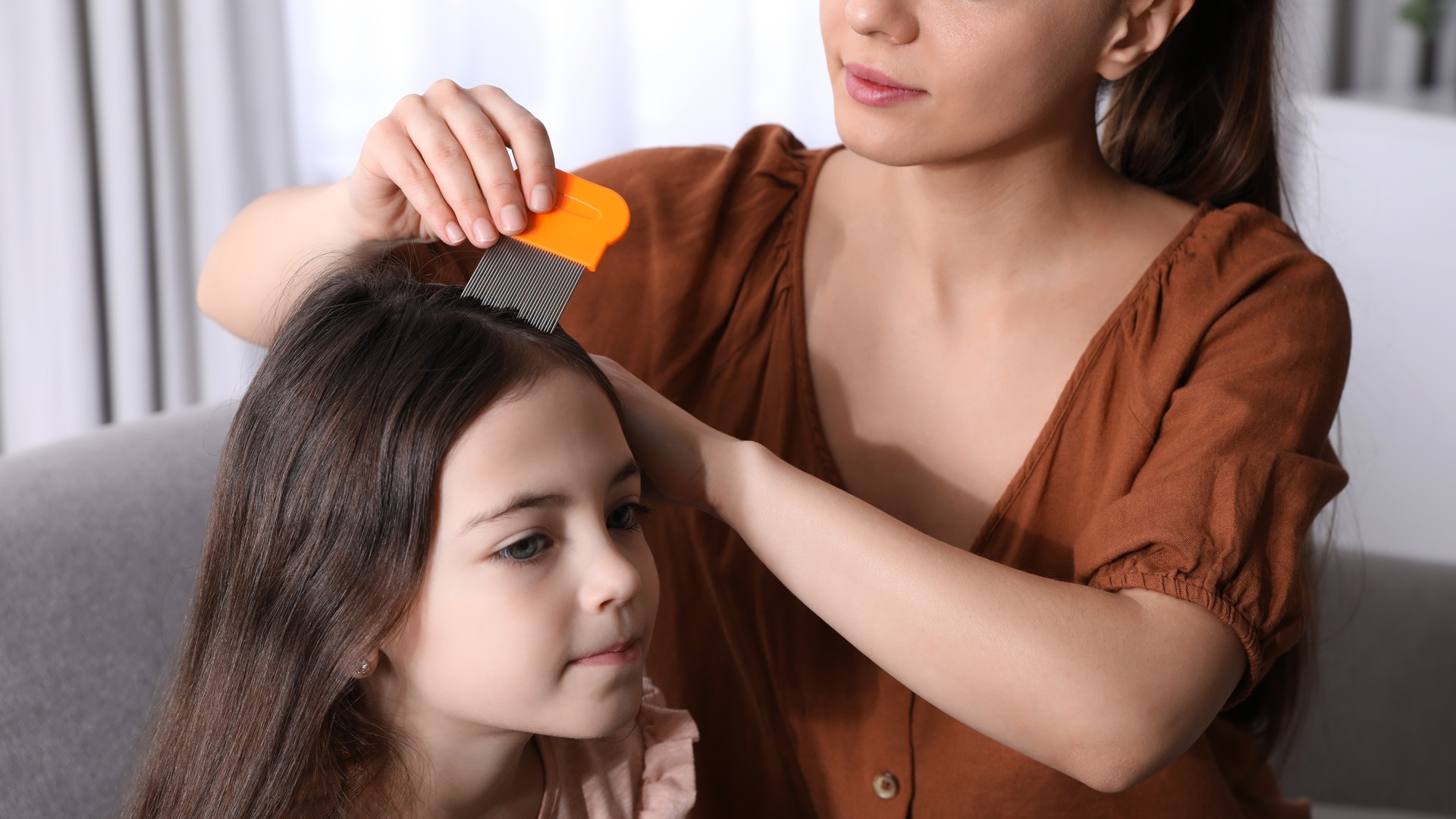 Hairspray Hides the Eggs and Blunts the Comb featured image